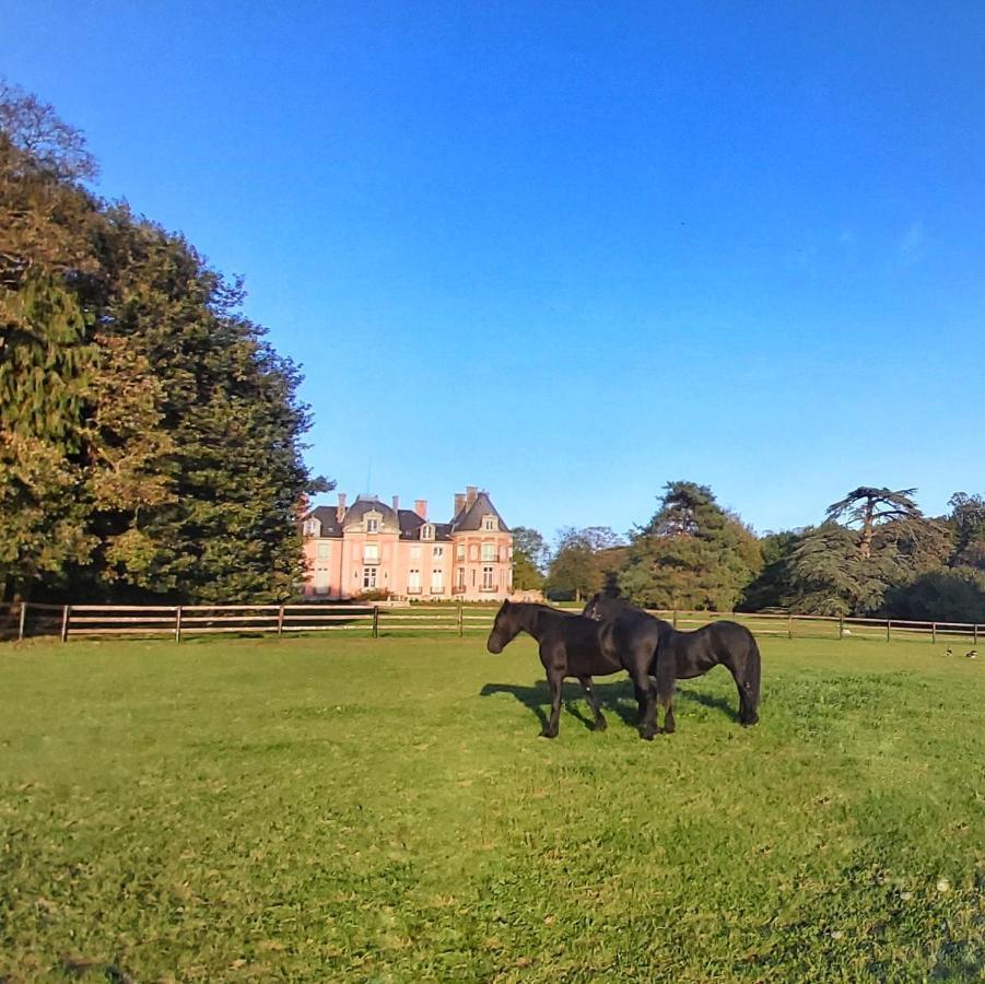 Chateau De Chantore Bacilly ภายนอก รูปภาพ