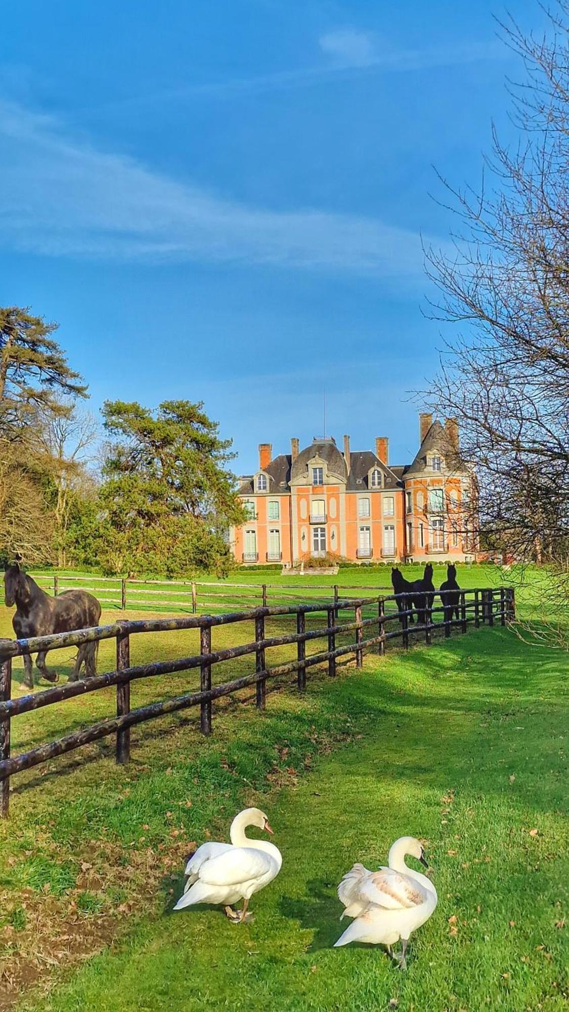 Chateau De Chantore Bacilly ภายนอก รูปภาพ